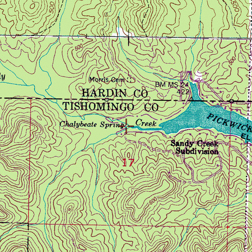 Topographic Map of Chalybeate Spring, MS