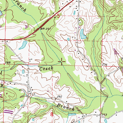 Topographic Map of Chicken Branch, MS
