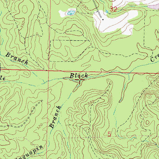Topographic Map of Chinquapin Branch, MS
