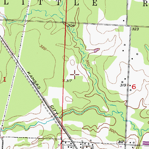 Topographic Map of Township of Little River, AR