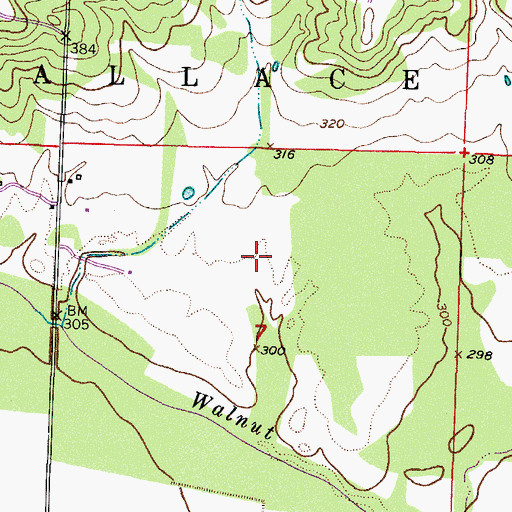Topographic Map of Township of Wallace, AR