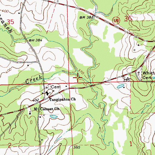 Topographic Map of Cobb Branch, MS
