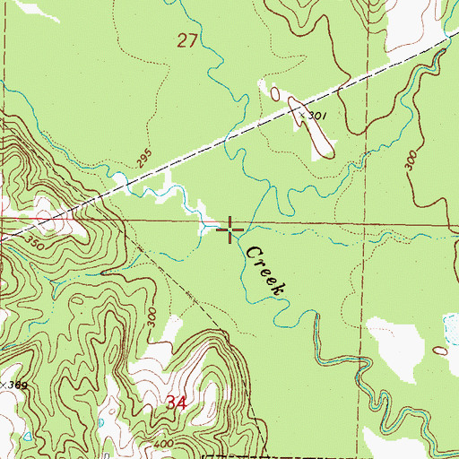 Topographic Map of Cole Branch, MS