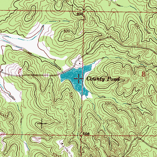 Topographic Map of County Pond, MS