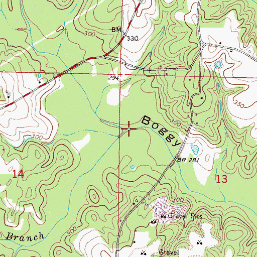 Topographic Map of Cow Branch, MS