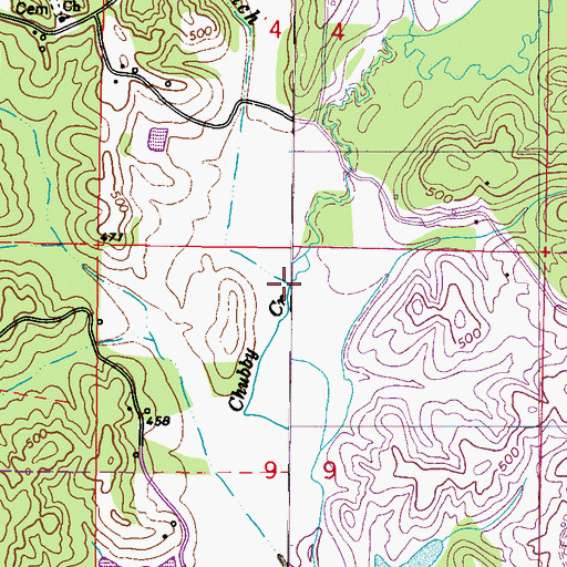 Topographic Map of Cow Branch, MS