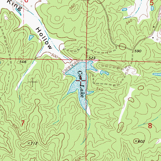 Topographic Map of Cox Lake, MS