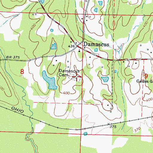 Topographic Map of Damascus Cemetery, MS