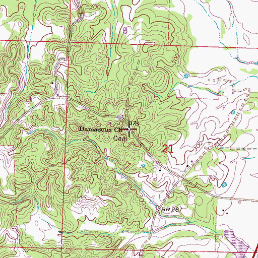 Topographic Map of Damascus Church, MS