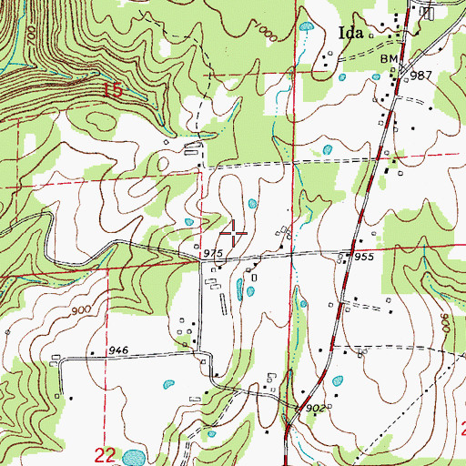 Topographic Map of Township of Peter Creek, AR