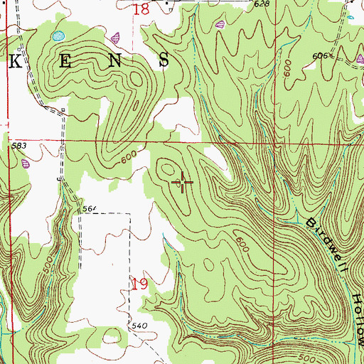 Topographic Map of Township of Pickens, AR