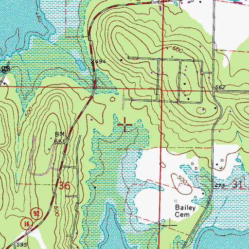 Topographic Map of Township of Saline, AR
