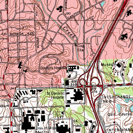 Topographic Map of Doctors Hospital (historical), MS