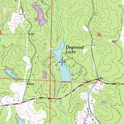 Topographic Map of Dogwood Lake, MS