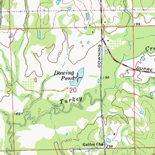 Topographic Map of Dowing Pond, MS