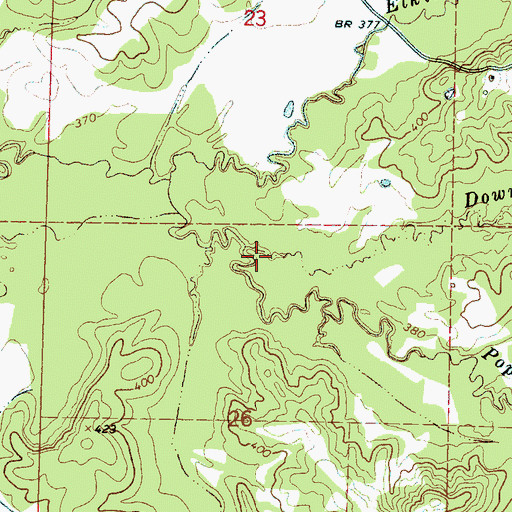 Topographic Map of Downing Branch, MS