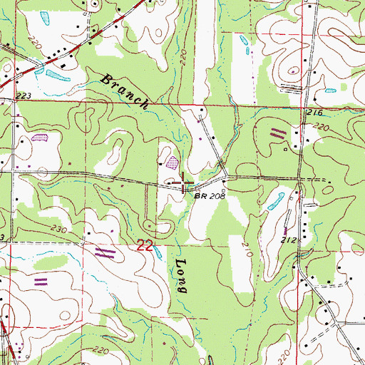 Topographic Map of Dry Branch, MS