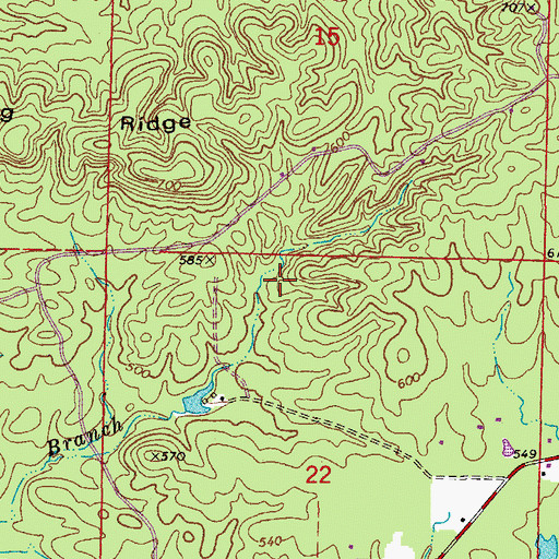 Topographic Map of Township of Beaver, AR