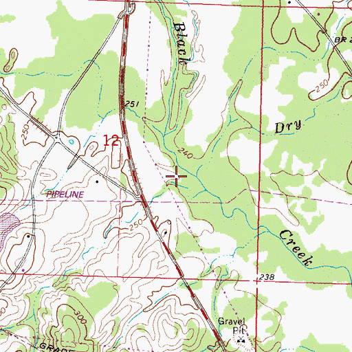 Topographic Map of Dry Branch, MS
