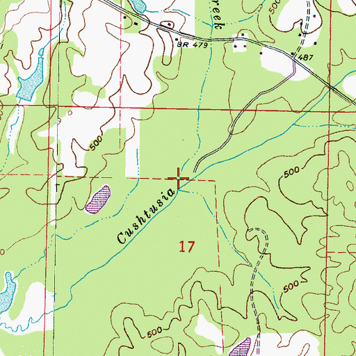 Topographic Map of Dry Creek, MS