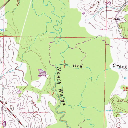Topographic Map of Dry Creek, MS