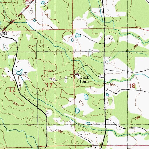 Topographic Map of Duck Cemetery, MS