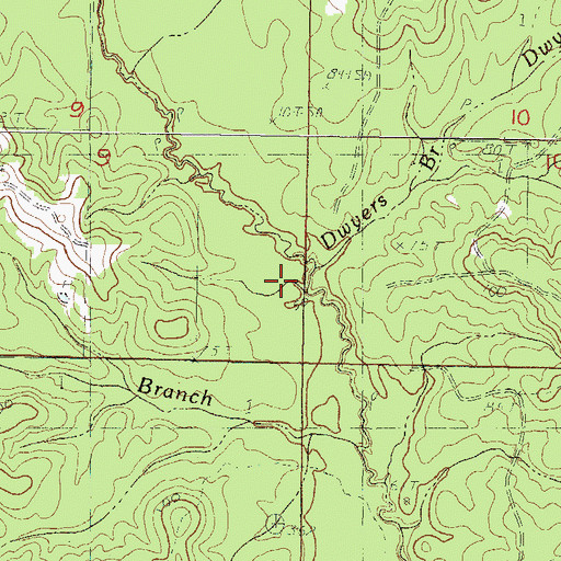 Topographic Map of Dwyer Branch, MS