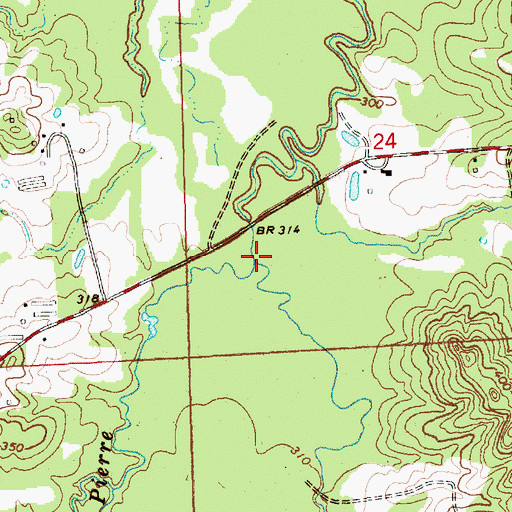 Topographic Map of Dye Branch, MS