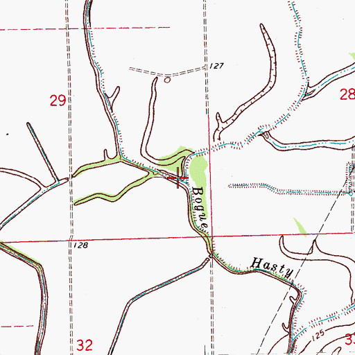 Topographic Map of East Bogue Hasty, MS