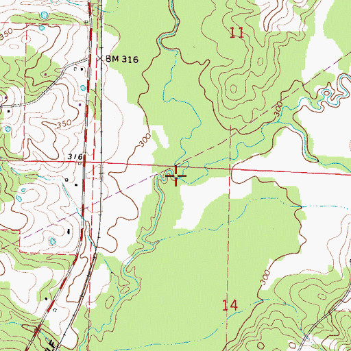 Topographic Map of East Prong Silver Creek, MS