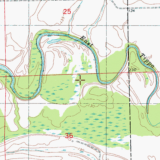 Topographic Map of East Tippo Bayou, MS
