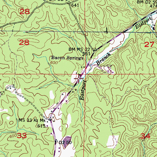 Topographic Map of Eastport School, MS