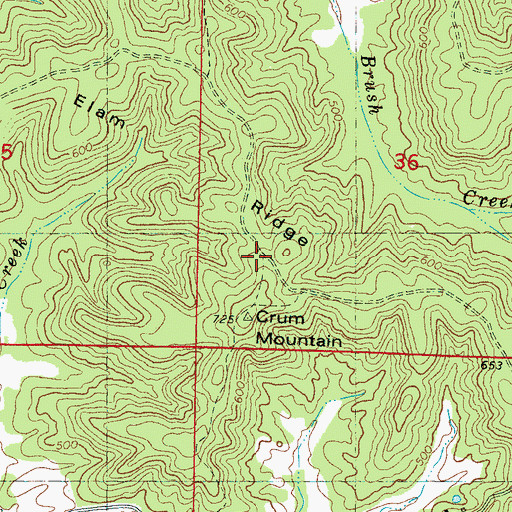 Topographic Map of Elam Ridge, MS