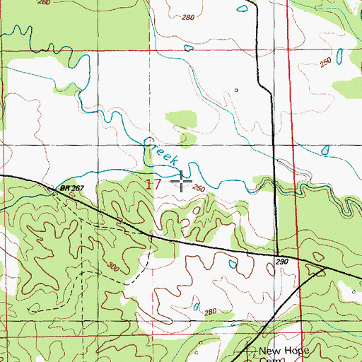Topographic Map of Election Branch, MS
