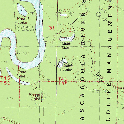 Topographic Map of Ellick Lake, MS