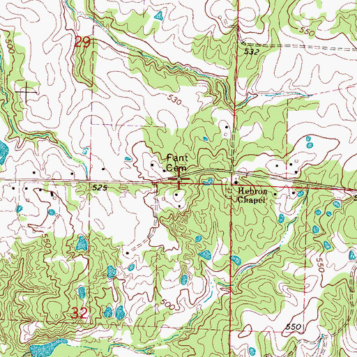 Topographic Map of Fant Cemetery, MS