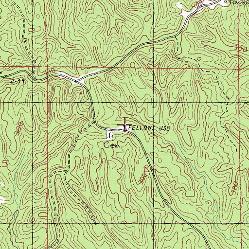 Topographic Map of Fellowship Church, MS