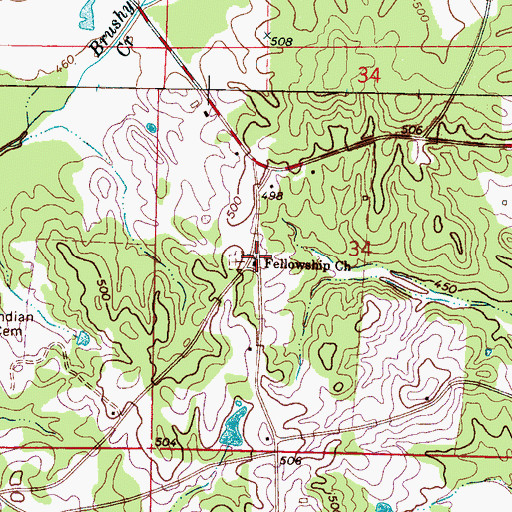 Topographic Map of Fellowship Church, MS