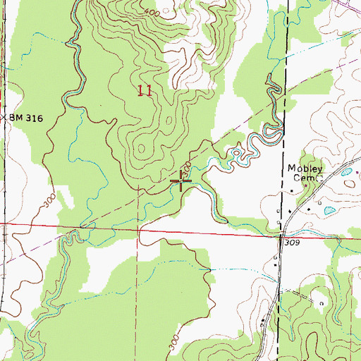 Topographic Map of Fiddlers Creek, MS