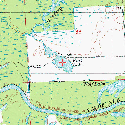 Topographic Map of Flat Lake, MS