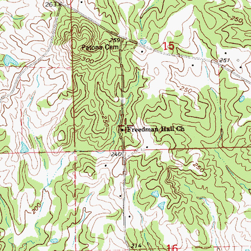 Topographic Map of Freedman Hill Church, MS