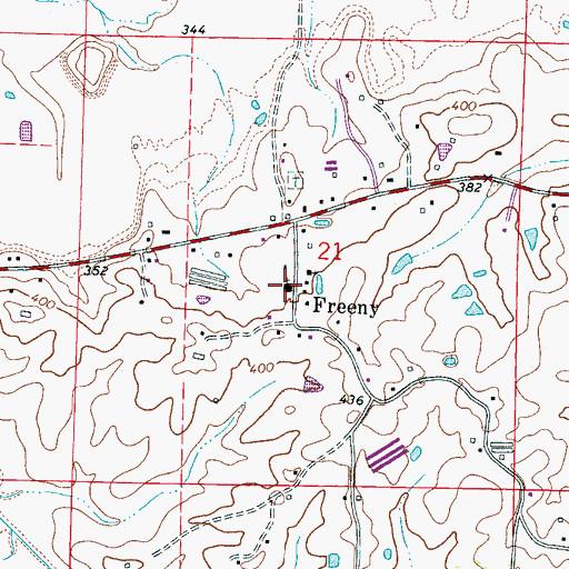 Topographic Map of Freeny, MS