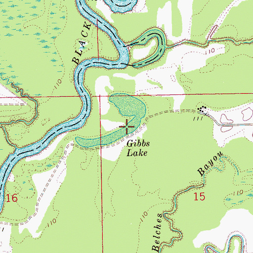 Topographic Map of Gibbs Lake, MS