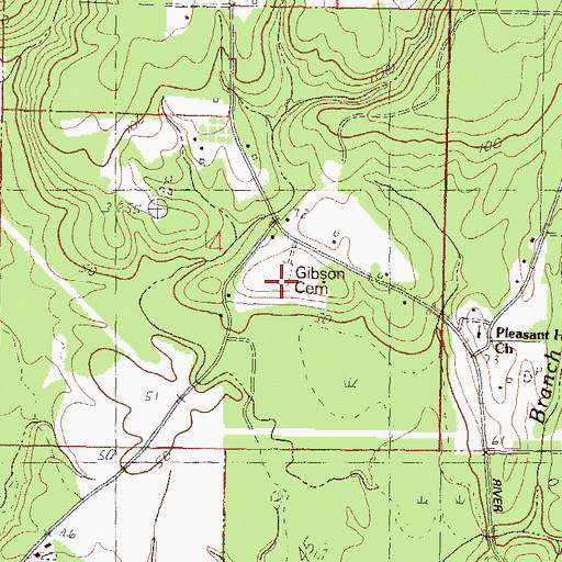 Topographic Map of Gibson Cemetery, MS