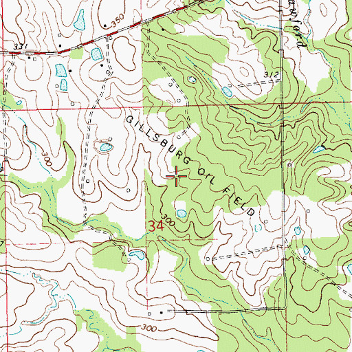 Topographic Map of Gillsburg Oil Field, MS