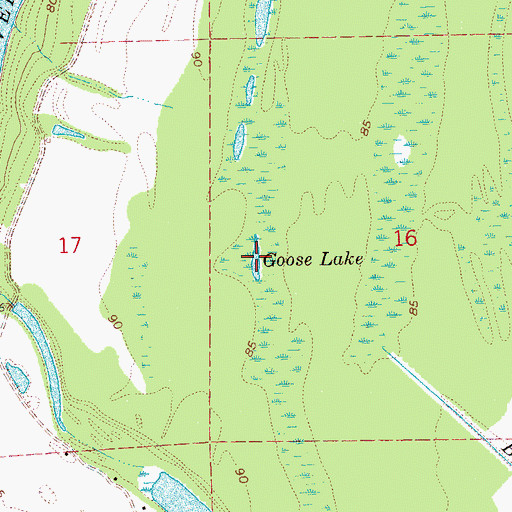 Topographic Map of Goose Lake, MS