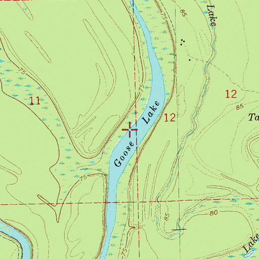 Topographic Map of Goose Lake, MS