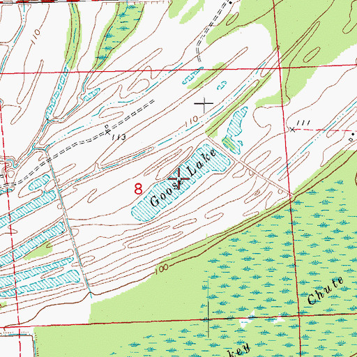 Topographic Map of Goose Lake, MS