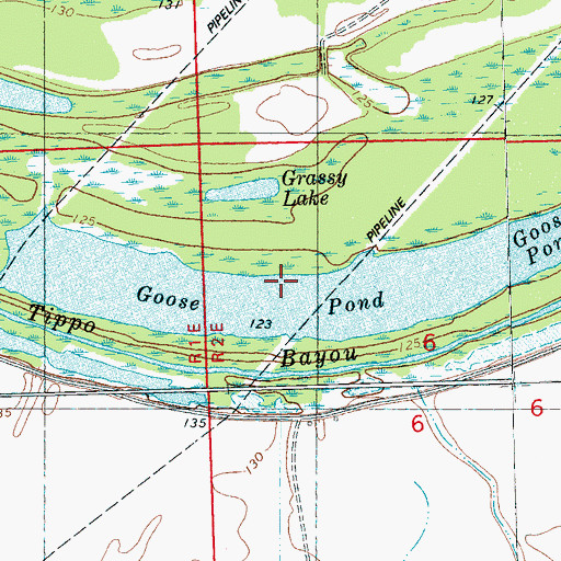 Topographic Map of Goose Pond, MS