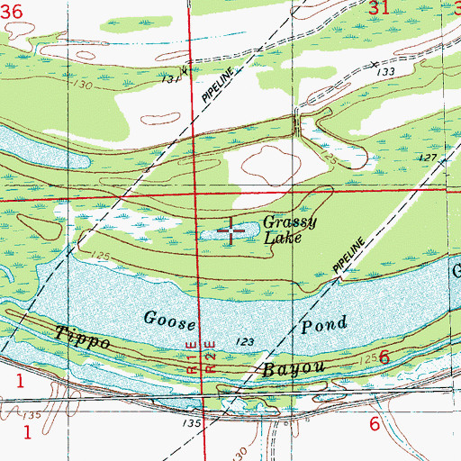 Topographic Map of Grassy Lake, MS